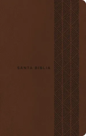 Santa Biblia NTV, Edición ágape