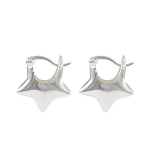 STAINLESS STEEL STAR EARRINGS